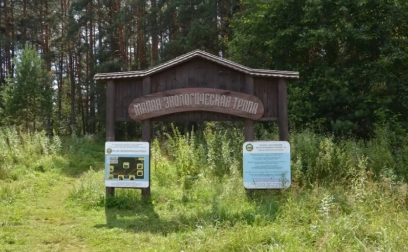 Фото Экотропа в Серпиевском заказнике стала лучше