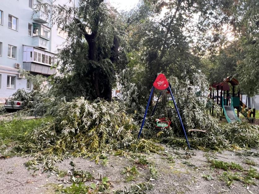 Фото В центре Челябинска дерево рухнуло на автомобиль, задев и детскую площадку