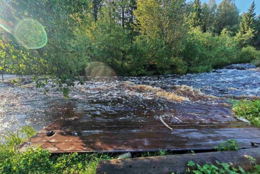 Фото На Урале — резкие перепады температур: в конце недели похолодание и первые заморозки