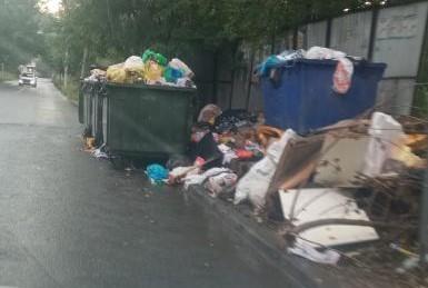 Фото Челябинцы сигнализируют: мусорка не на месте и невывезенный мусор