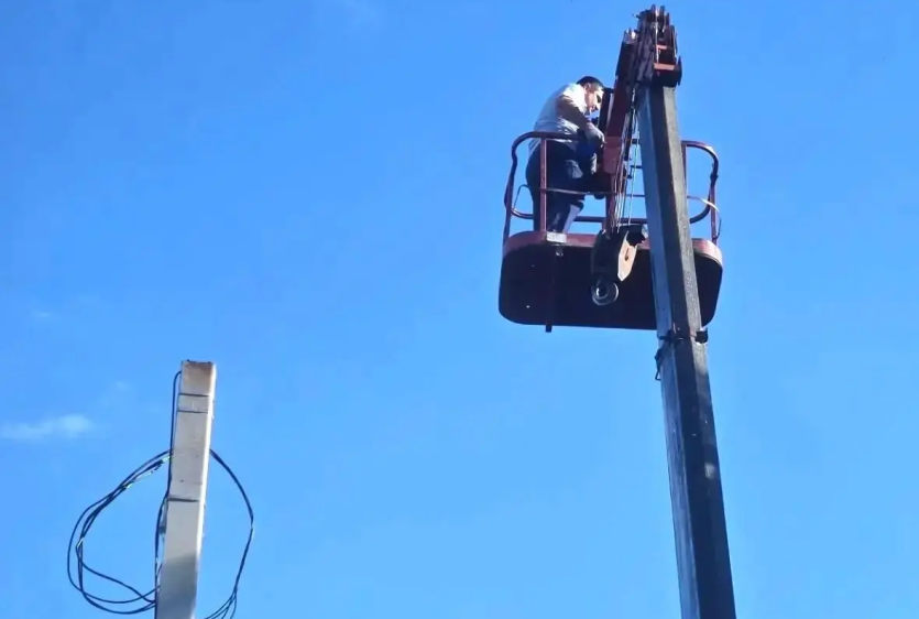 Фото В Троицке полицейский спас бездомную кошку, а сотрудница соцзащиты забрала её домой