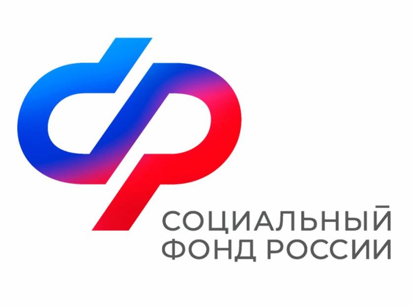 Фото Более 200 миллионов рублей потратили челябинцы за этот год на образование детей