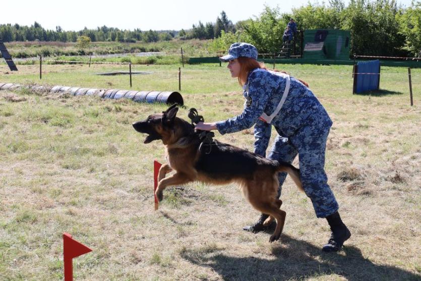 Фото Кинологи УИС Челябинской области и их хвостатые напарники показали высший пилотаж в состязаниях по многоборью 