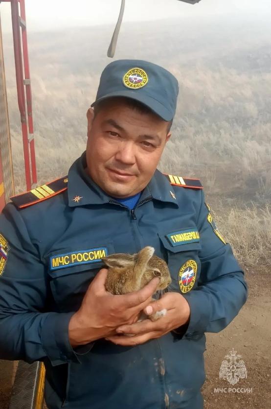 Фото В Челябинской области спасатели МЧС вынесли из огня зайчонка 