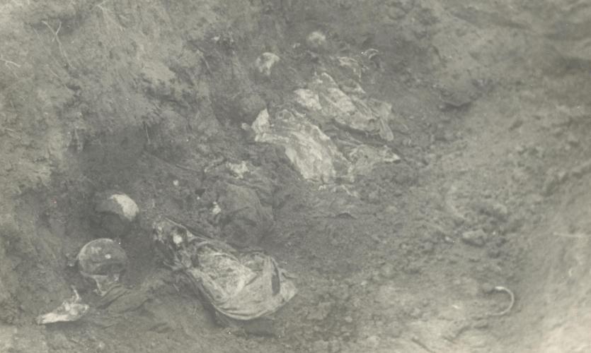 Фото   Память о Бабьем Яре: 85 лет под Киевом нацисты начали массовые расстрелы мирного населения 
