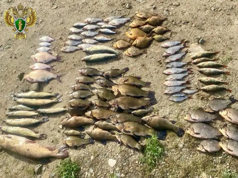 Фото Житель Каслей обвиняется в незаконном вылове рыбы в месте нереста