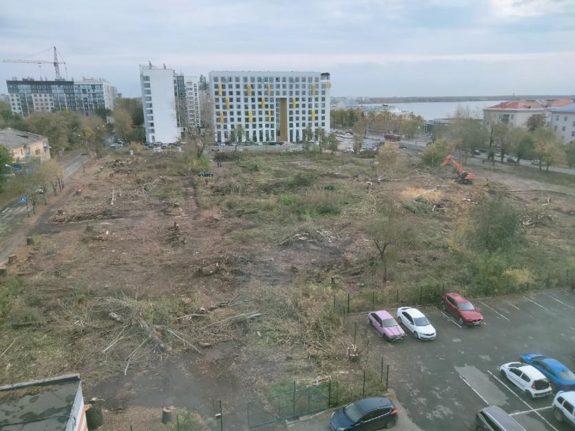 Фото Вырубили подчистую: челябинцы оплакивают полувековые деревья, которые сажали их бабушки и дедушки