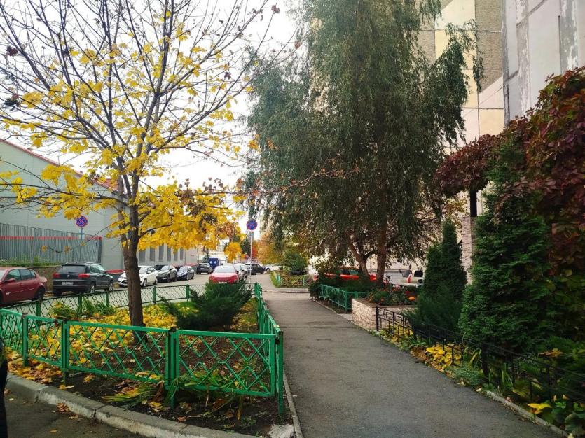 Фото Осень золотая: Алексей Лошкин поручил оперативно убирать опавшую листву