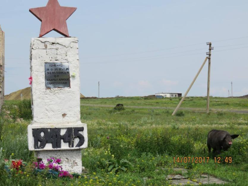 Фото Прокуратура проверит заброшенный мемориал в Красноармейском районе, который превратили в пастбище для свиней