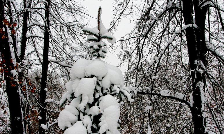 Фото Выходные в Челябинской области без осадков