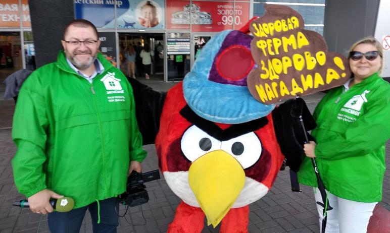 Фото Челябинские общественники попросили птицефабрику перестать гадить