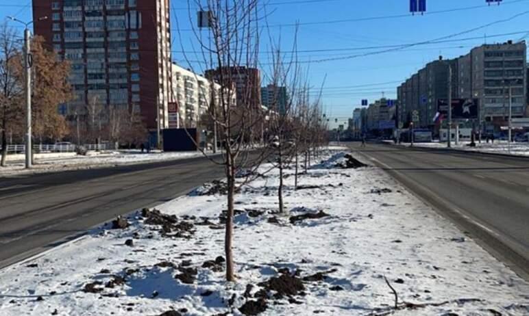Фото На Комсомольском проспекте Челябинска высадят три десятка яблонь