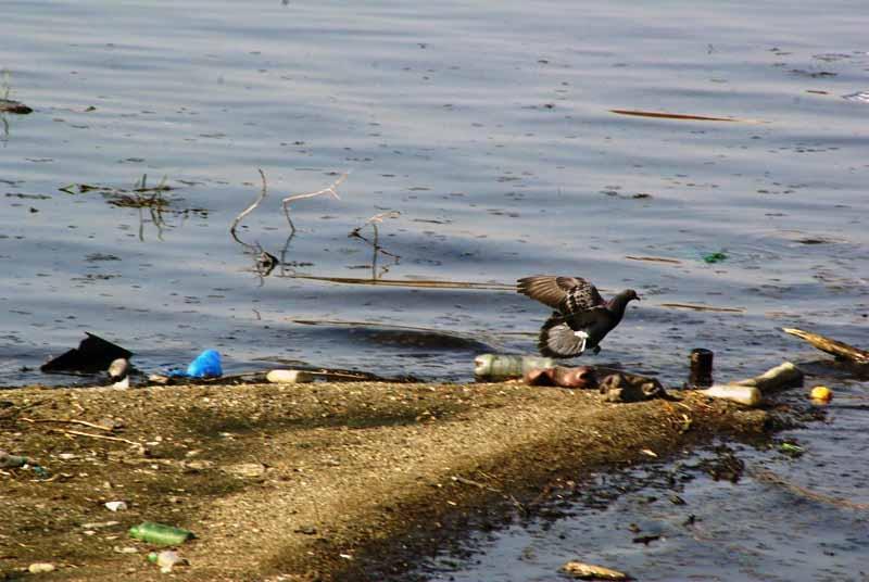 Фото «Сливной» скандал: челябинские власти списали на «Равис» несостоявшуюся экологическую катастрофу
