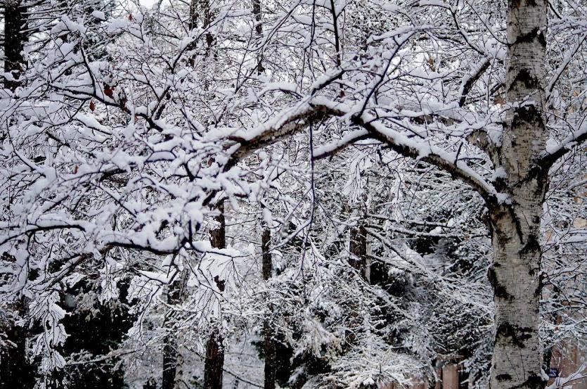 Фото Пятница в Челябинской области будет снежной