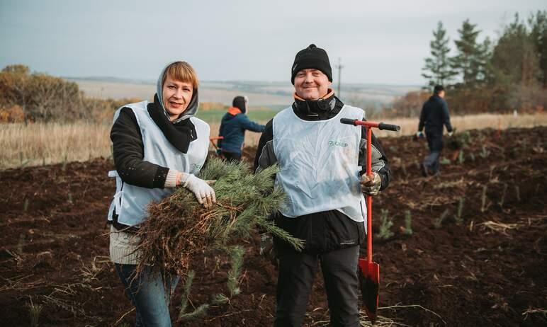 Фото Россиянки дарят защитникам Отечества возможность озеленять планету