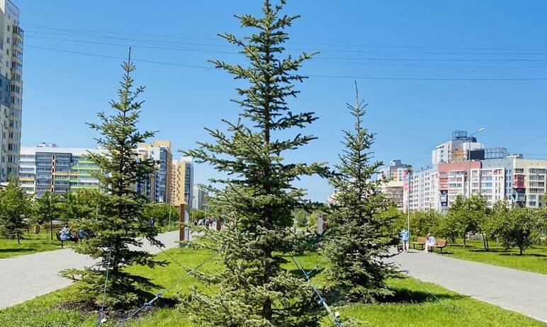 Фото Центральный район Челябинска демонстрирует качественное озеленение 