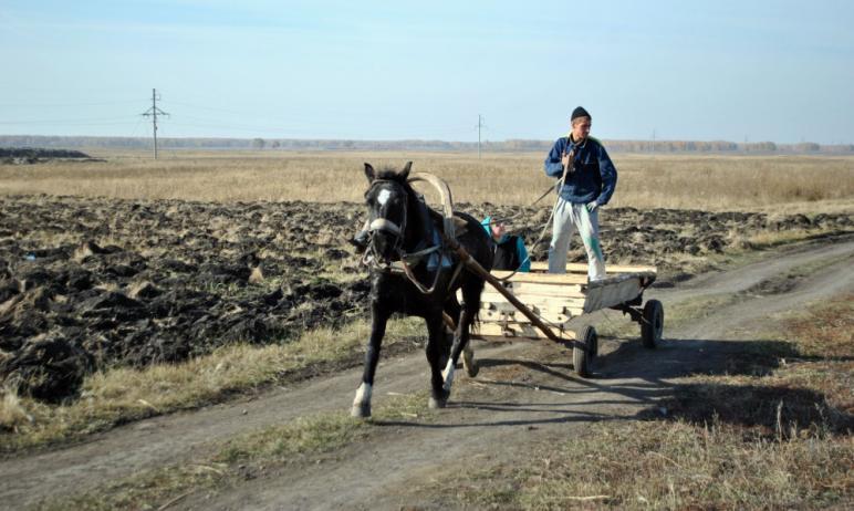 Фото В Челябинской области вдвое снижена налоговая ставка по единому сельхозналогу