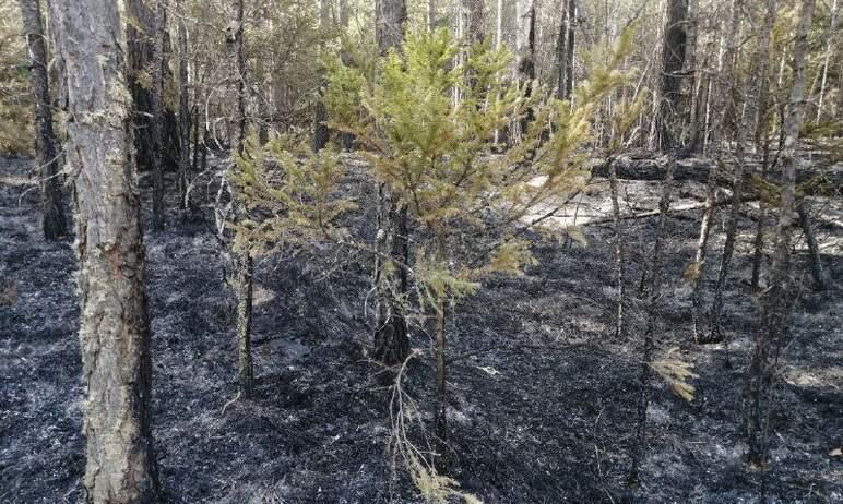 Фото К утру восьмого мая площадь активного горения в нацпарке «Зигальга» сократилась до 35 гектаров