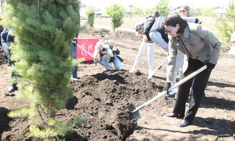 Фото В Челябинске высадят более 13 тысяч новых деревьев за сезон