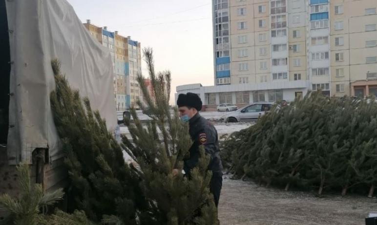 Фото В Чурилово незаконная торговля ёлками велась повсеместно