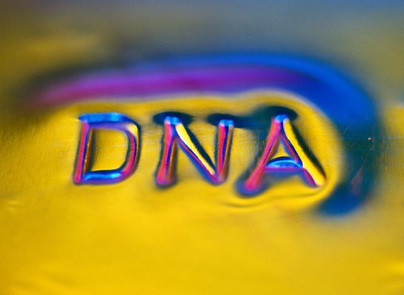 Фото Генетики РАН попытаются выделить ДНК ямальских мумий