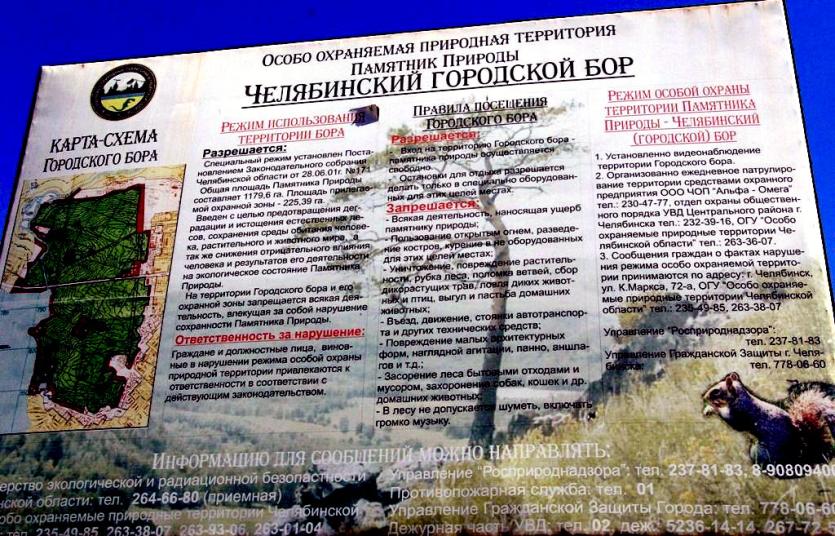 Фото В России планируется разрешить строить автомобильные дороги через лесопарковые «зеленые пояса»