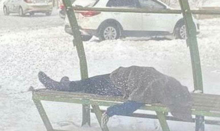 Фото В Челябинске пенсионерке стало плохо во время метели. Она умерла на остановке