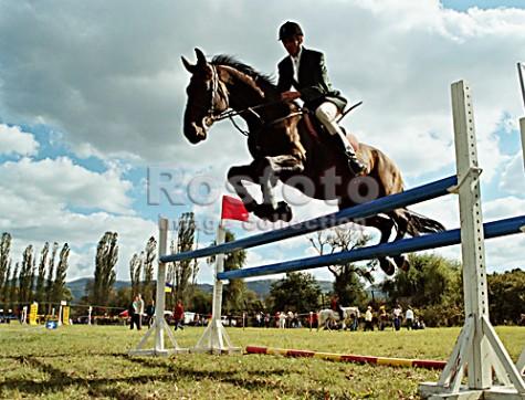 Фото Кубок губернатора по конному спорту даст толчок развитию этого вида спорта и на Южном Урале