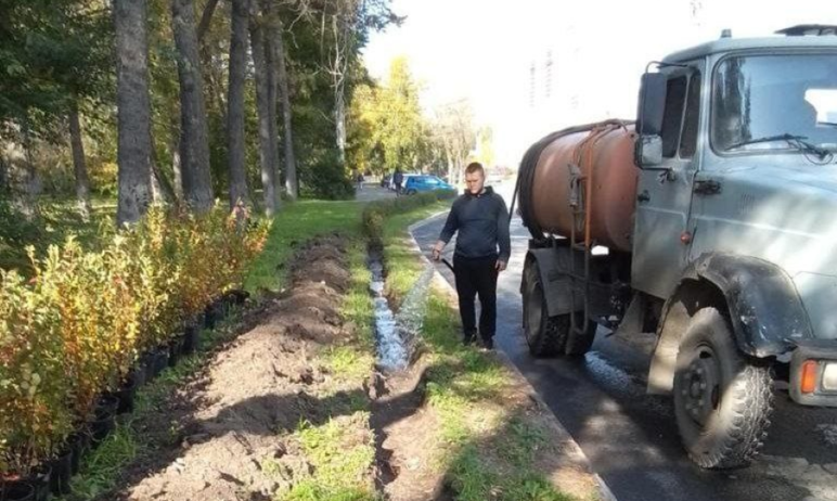 Фото Сирень, пузыреплодник и кизильник украсят пять улиц Челябинска до конца октября