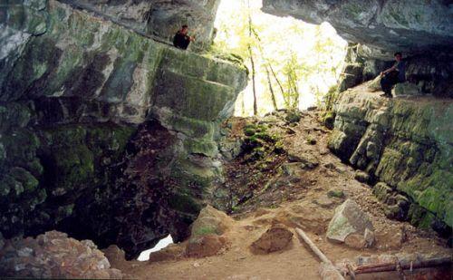 Фото В одной пещере найдены кости животных всех климатических зон Урала