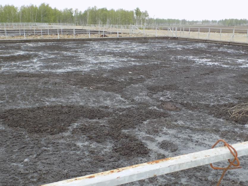 Фото Челябинский эколог: В загрязнении питьевой воды навозом «Ариант», возможно, не виноват, но мы будем продолжать проверки