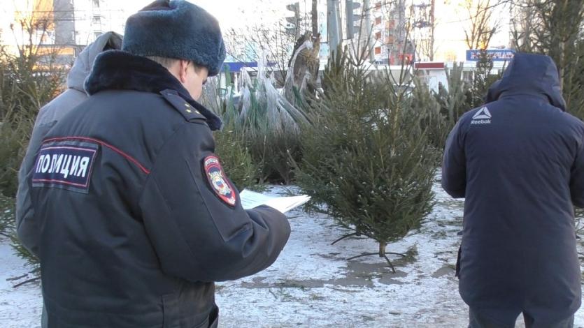Фото В Челябинске «процветает» несанкционированная торговля новогодними елками