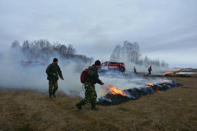 Фото Еще в одном районе Челябинской области введен особый противопожарный режим