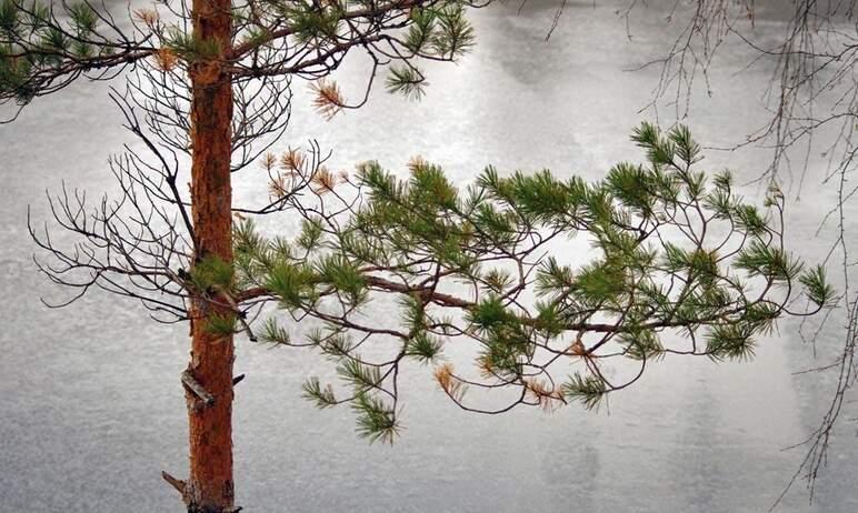 Фото В День России в Челябинской области – местами дожди и заморозки