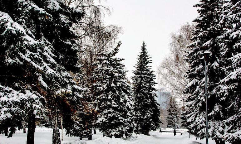 Фото В новогодние праздники магнитные бури в Челябинской области не прогнозируются