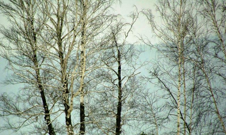 Фото В выходные в Челябинской области – снегопады, порывистый ветер, скачки давления