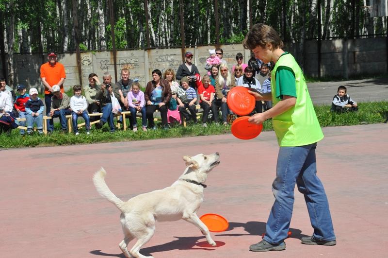Фото В Магнитогорске собаководы поборются за кубок на лучшую дрессировку