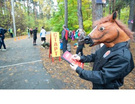 Фото Челябинск, конная полиция на страже твоего настроения