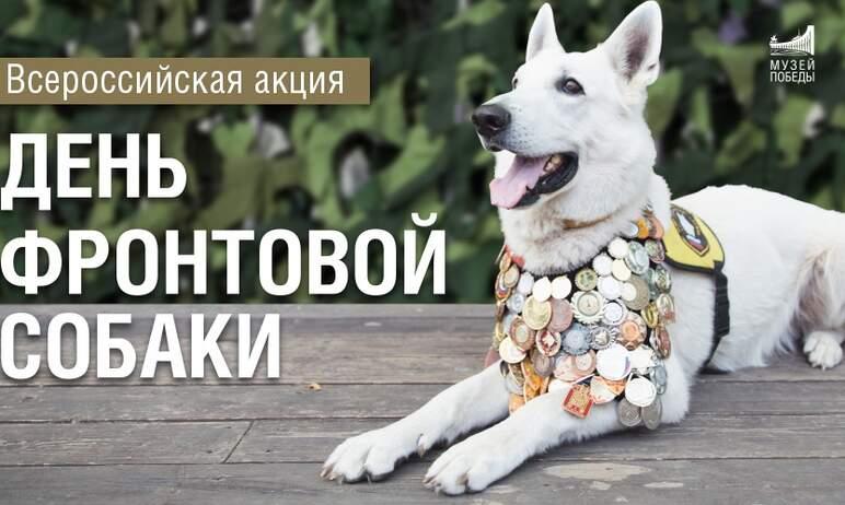 Фото Вместе с Музеем Победы Исторический музей Южного Урала участвует в акции «День фронтовой собаки»