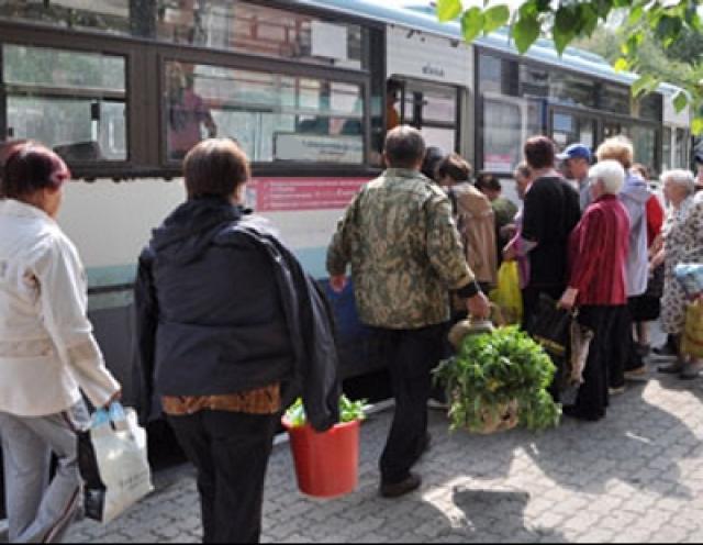 Фото В Магнитогорске могут появиться специальные проездные для пенсионеров 