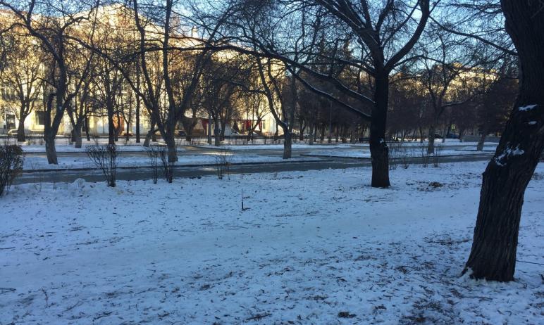 Фото В Челябинске изменится подход к охране и содержанию зеленых насаждений