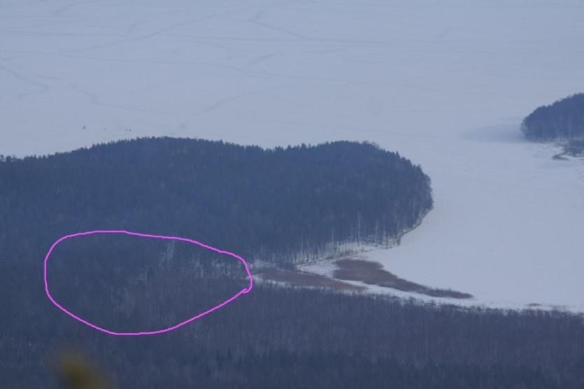 Фото На озеро Тургояк с проверкой законности рубки леса отправится межведомственная группа