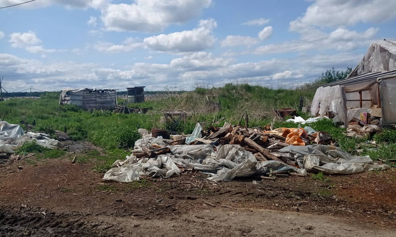 Фото В тепличном комплексе Калиновки «вырастили» свалку