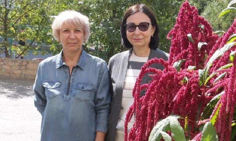 Фото Наталья Котова пообещала помочь челябинской озеленительнице-энтузиастке в наведении красоты рядом с ее домом