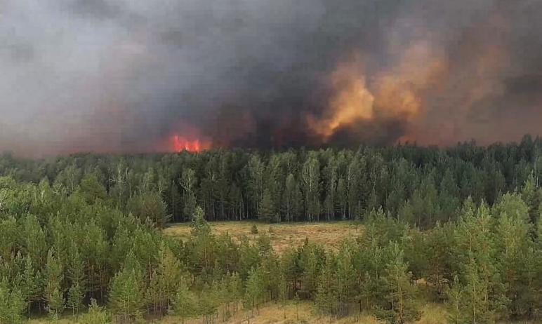Фото Виталий Безруков: Памятникам природы, пострадавшим от пожаров, помогут восстановиться