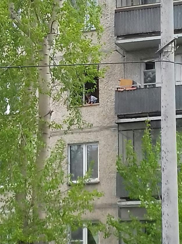 Фото Ребенок на подоконнике опять напугал жителей Металлургического района Челябинска