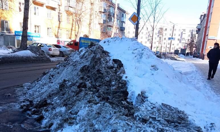 Фото Котова потребовала избавить город от снежных куч