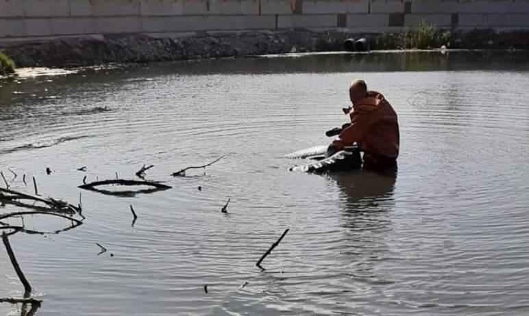Фото В Чурилово почистили пруд рядом с новым сквером