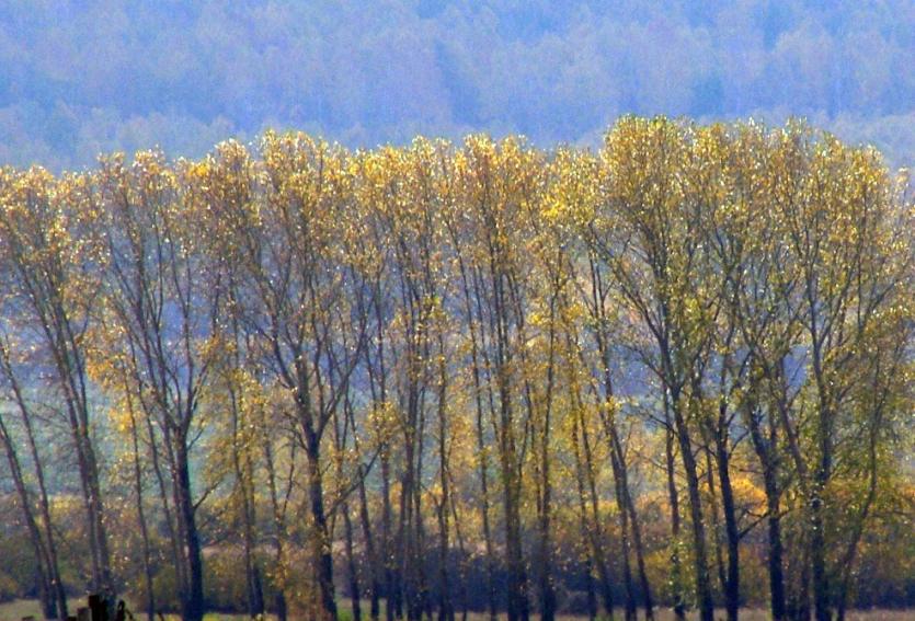 Фото Сегодня Воздвиженье - третья встреча осени