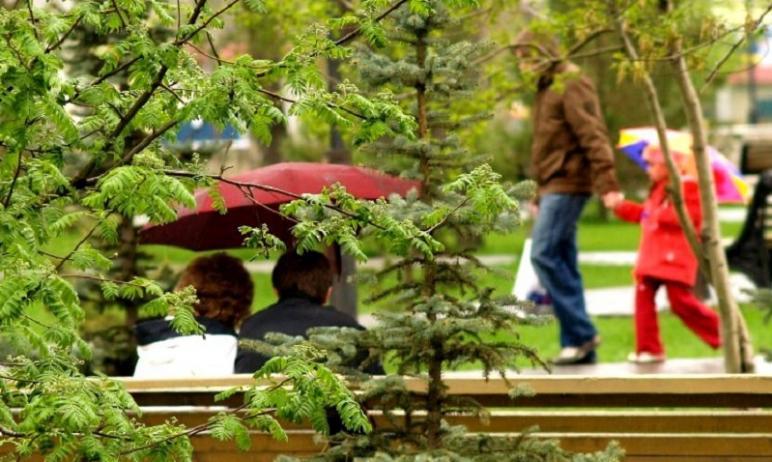 Фото В Челябинск пришел долгожданный дождь
